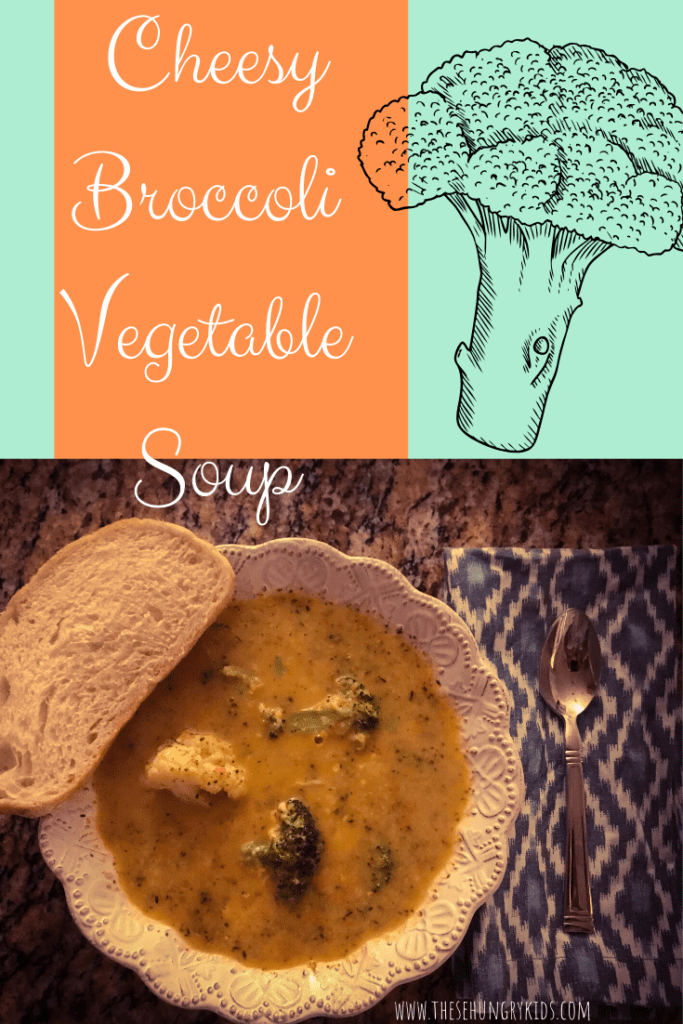 cheesy broccoli vegetable soup from www.thesehungrykids.com