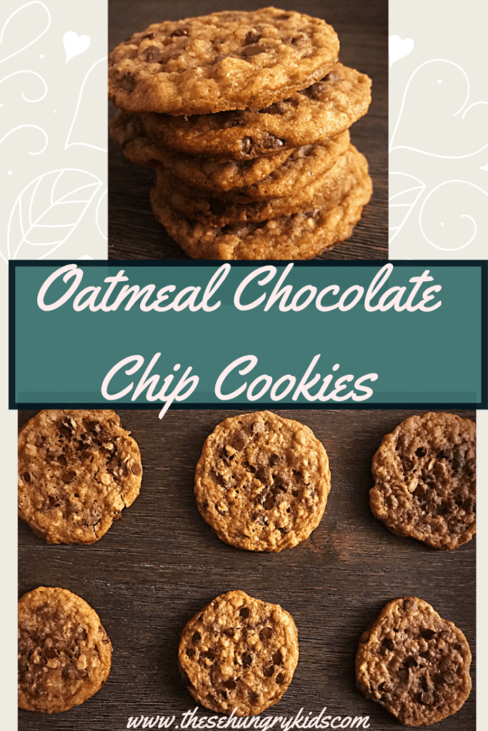 oatmeal chocolate chip cookie www.thesehungrykids.com