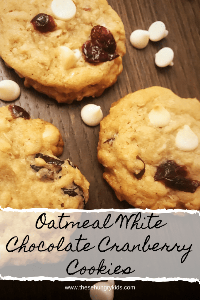 otameal white chocolate cranberry cookies