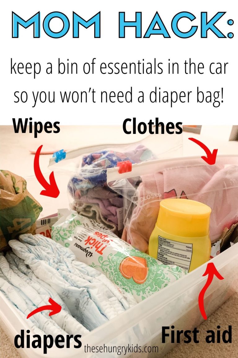 car bin essentials mom hack