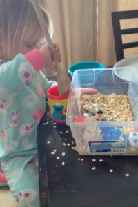 oatmeal sensory bin for kids