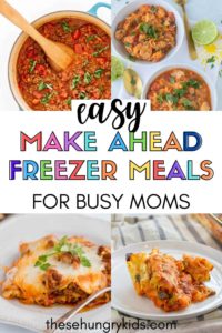 Over 25 Easy Freezer Meals For Every Diet - These Hungry Kids