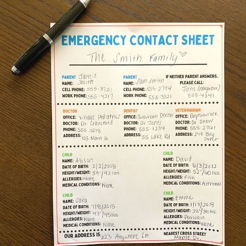 emergency contact sheet for babysitters