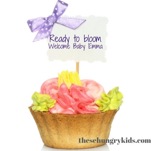 cupcake with pink, yellow and green frosting with toothpick and sign that says "ready to bloom welcome baby Emma" 