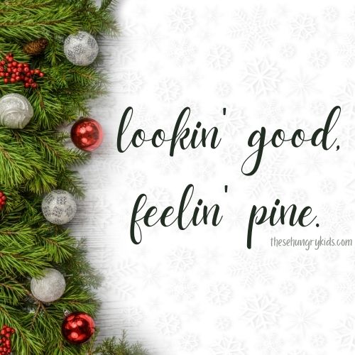 lookin good feelin' pine christmas tree puns and jokes 