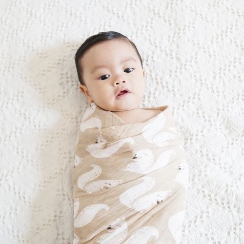 baby swaddled in light brown blanket with ivory background