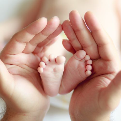 hands cupping newborn baby feet