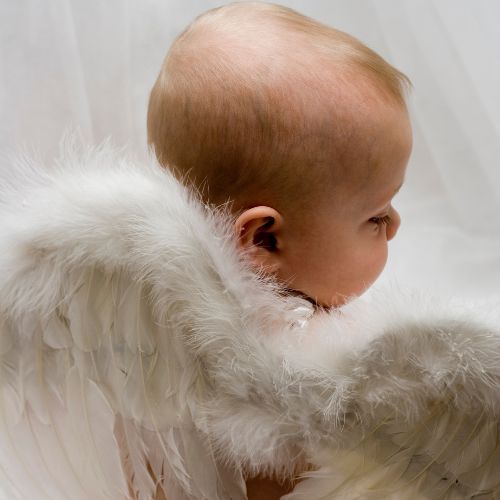 baby wearing angel wings on tummy
