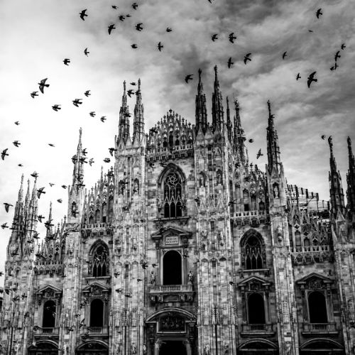 gothic cathedral picture in black and white with black birds overhead